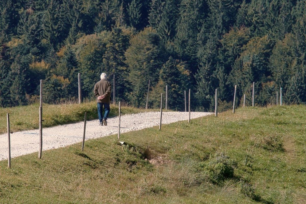 Za obyčejnou procházku v přírodě zaplatíte 15 000 Kč. Stačí malé nedopatření a malér je na světě