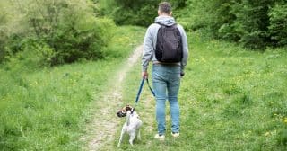 Venčení vás může stát 80 000 Kč: Tohle pravidlo moc pejskařů nezná. Jeho porušení je ale přísně trestáno