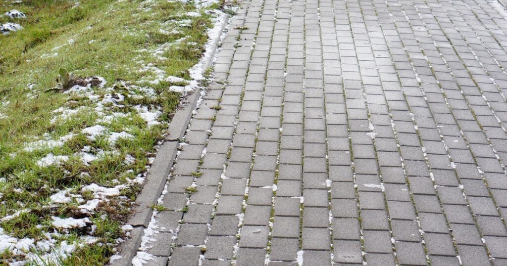Kdo má zahrádku, ten ví, že to není jen o kochání se kytičkami a popíjení kávy na lavičce. Třeba takový mech dokáže nadělat spoustu vrásek.