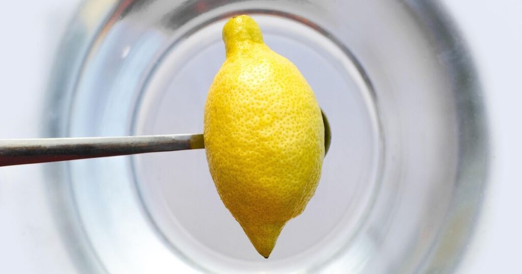 Pěstovat citronovník v hrnku se vyplatí, krásně provoní i byt