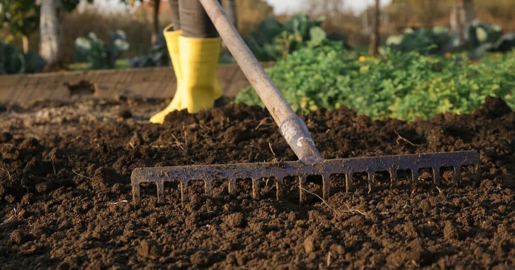 Jak zjistit, co chybí vaší půdě? Rychlý test za 15 minut zvládne každý