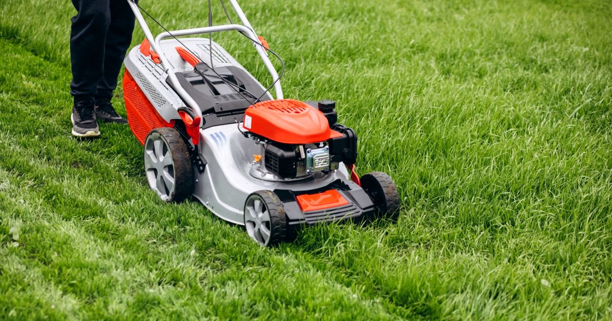 Posekanou trávu nevyhazujte, na zahradě ještě může být užitečná. Jako hnojivo i pro přípravu záhonů