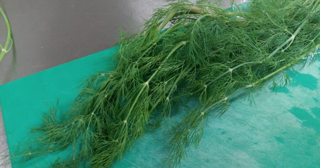 kopr stul ubrus