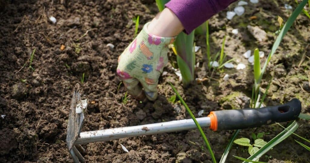 7 netradičních tipů pro vaši zahrádku – fungují perfektně