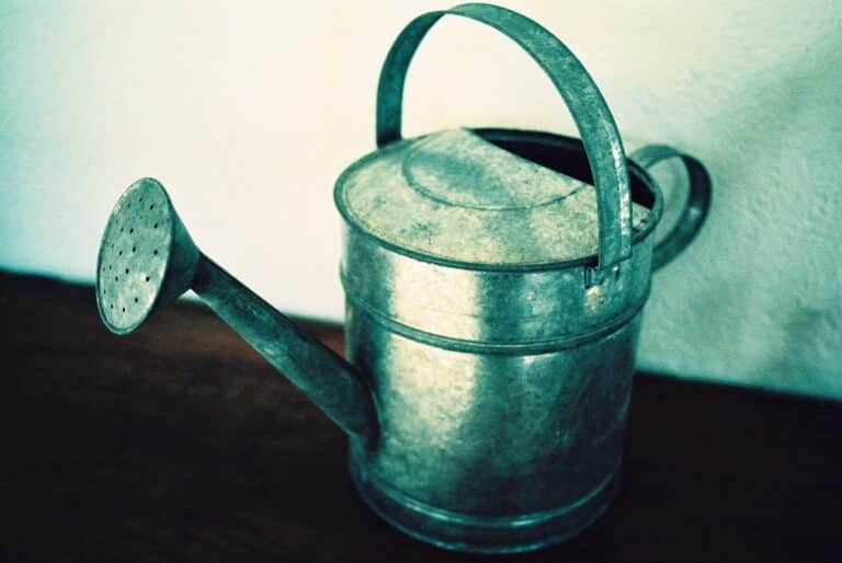 bucket flickr anamobe