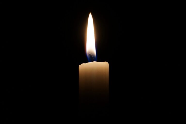 webandi candle 2038736